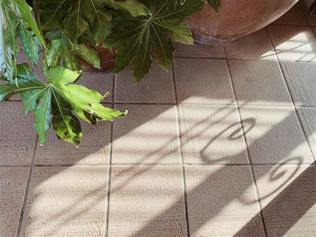 Rengøring og vedligeholdelse af fliser i haven: Vigtige trin til et velholdt udendørsområde